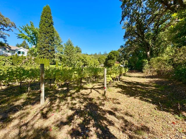 109 Glass Mountain Ln, St. Helena, CA 94574