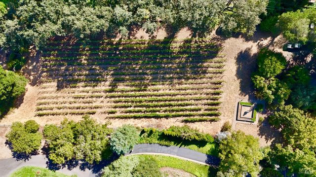 109 Glass Mountain Ln, St. Helena, CA 94574