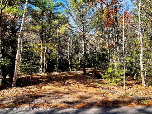 557 Campbell Road, Ashland, NY 12407