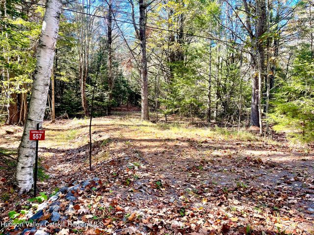 557 Campbell Road, Ashland, NY 12407