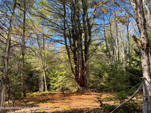 557 Campbell Road, Ashland, NY 12407