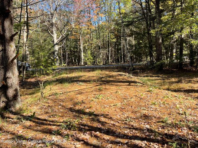 557 Campbell Road, Ashland, NY 12407