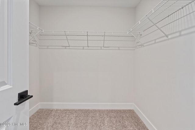 220 Umbrella Palm Drive, Hampstead, NC 28443