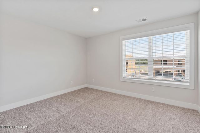 220 Umbrella Palm Drive, Hampstead, NC 28443