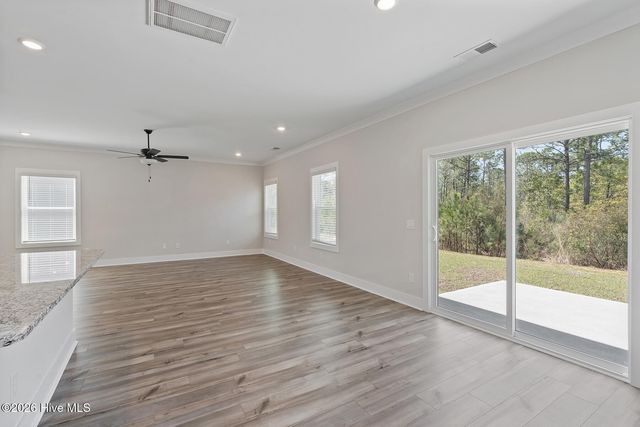 220 Umbrella Palm Drive, Hampstead, NC 28443