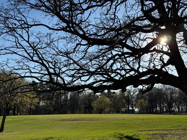 8431 Palm Street NW, Coon Rapids, MN 55433