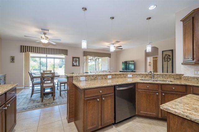 29290 GRASS BUNKER DRIVE, San Antonio, FL 33576