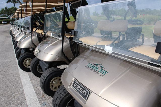 29290 GRASS BUNKER DRIVE, San Antonio, FL 33576