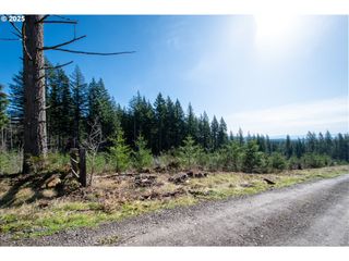 Ne 94th St, Camas, WA 98607