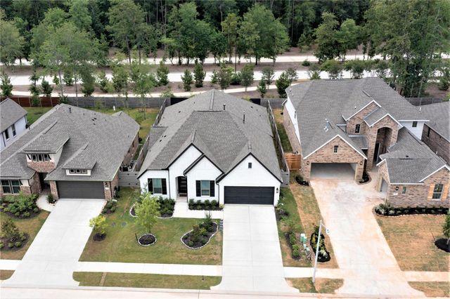 17413 Chestnut Cove Drive, Conroe, TX 77302