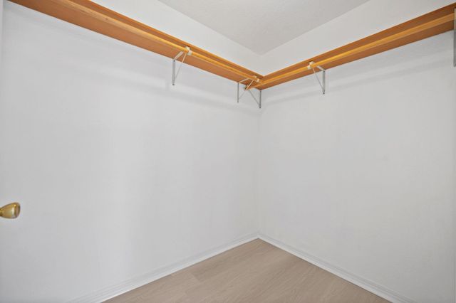 23243 Laura Lane, New Caney, TX 77357