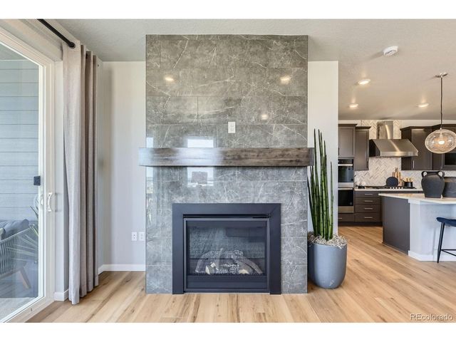 13733 Daffodil Pt, Parker, CO 80134