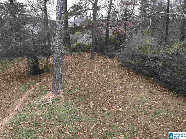 2548 JANICE CIRCLE, Birmingham, AL 35235