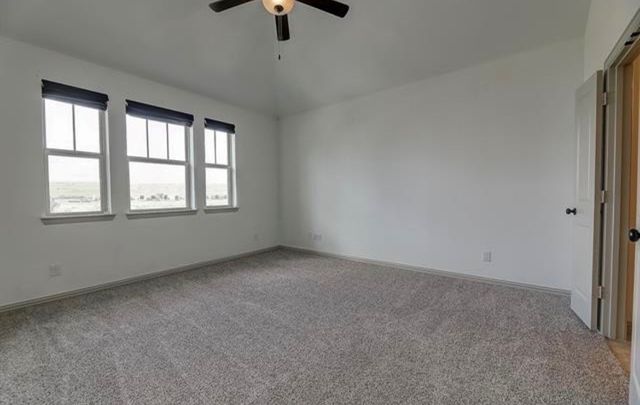 4207 Snow Goose Trail, Arlington, TX 76005