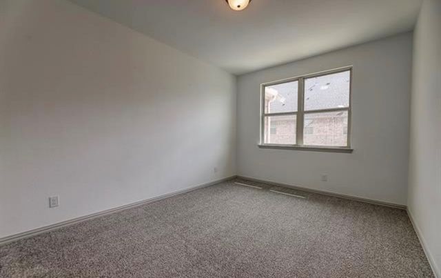 4207 Snow Goose Trail, Arlington, TX 76005