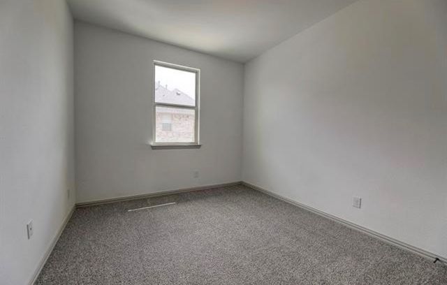 4207 Snow Goose Trail, Arlington, TX 76005