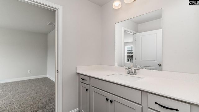 256 Livingston Woods Drive, Irmo, SC 29063