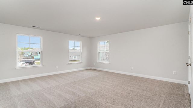 256 Livingston Woods Drive, Irmo, SC 29063