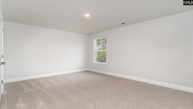 256 Livingston Woods Drive, Irmo, SC 29063