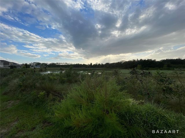 305 PRESERVE POINTE BOULEVARD, Davenport, FL 33837