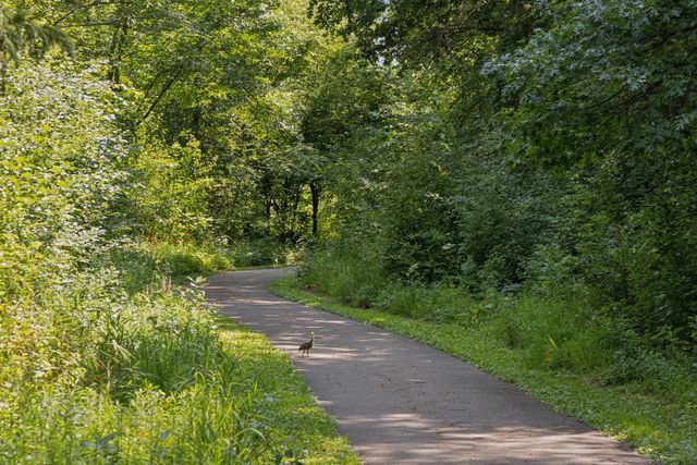 4640 McDonald Drive N, Stillwater, MN 55082