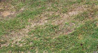 Lot 68 A&B El Scott Ave, Baton Rouge, LA 70811