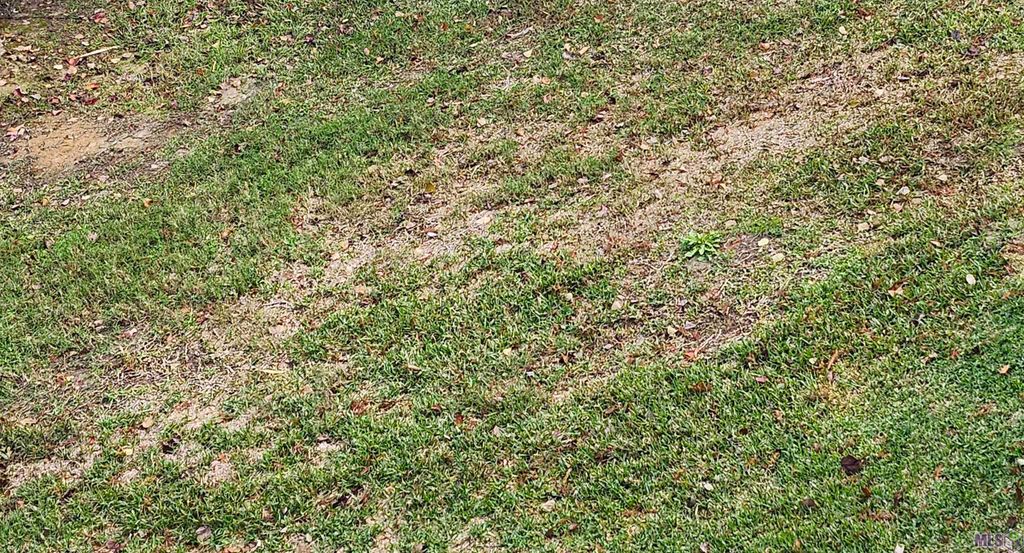 Lot 68 A&B El Scott Ave, Baton Rouge, LA 70811