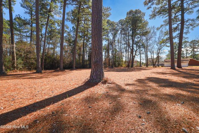 580 Koonce Fork Road, Richlands, NC 28574