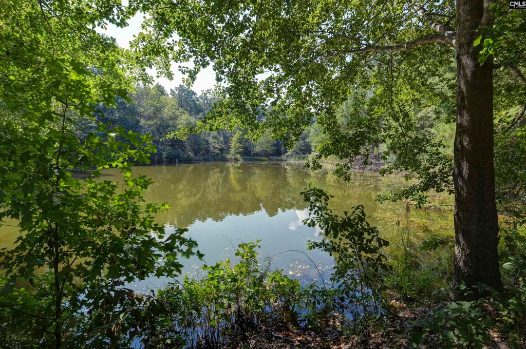 505 Lost Branch Road, Lexington, SC 29072