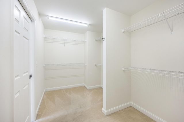 8005 Rosemere Way, Chattanooga, TN 37421