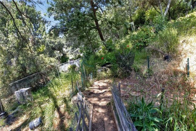 6561 Tokay, Tujunga, CA 91042