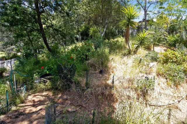 6561 Tokay, Tujunga, CA 91042