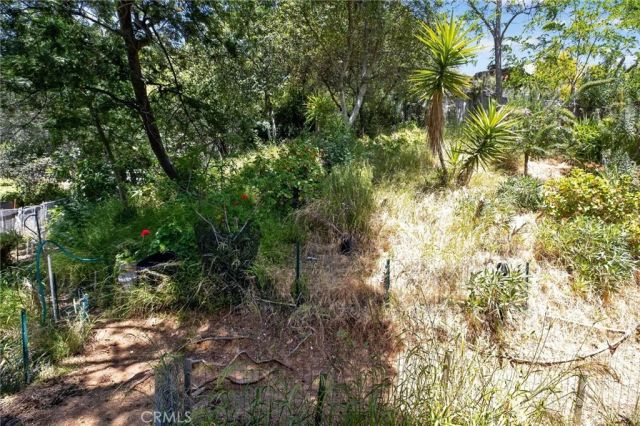 6561 Tokay, Tujunga, CA 91042