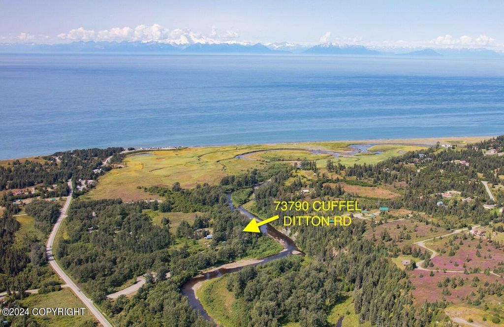 73790 Cuffel Ditton Road, Anchor Point, AK 99556
