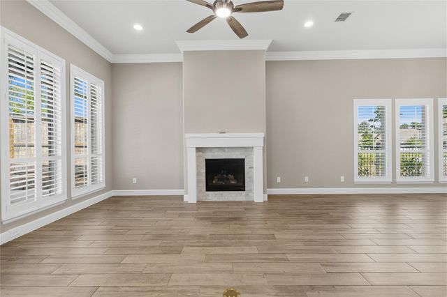 542 Carina Gaze Drive, Conroe, TX 77318