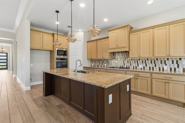 542 Carina Gaze Drive, Conroe, TX 77318