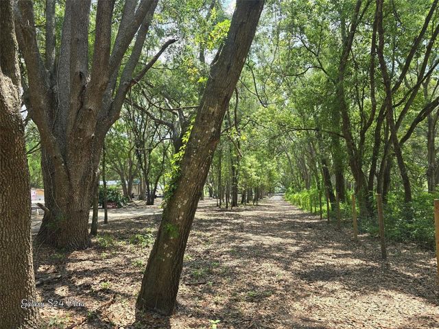17120 SE 130TH AVENUE, Weirsdale, FL 32195