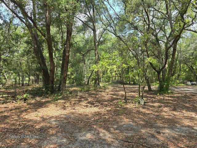 17120 SE 130TH AVENUE, Weirsdale, FL 32195