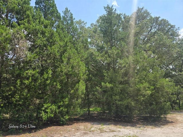 17120 SE 130TH AVENUE, Weirsdale, FL 32195