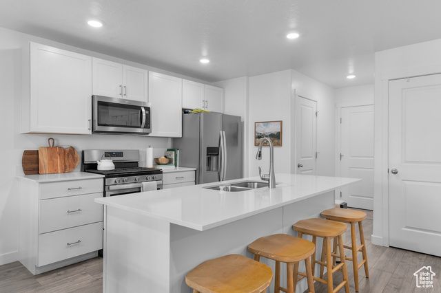 1082 E WATERWAY LN, Saratoga Springs, UT 84045