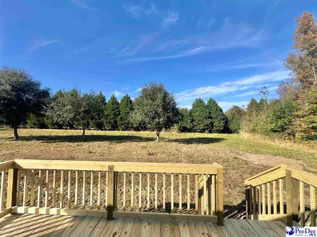 2010 Warren's Loop, Marion, SC 29571