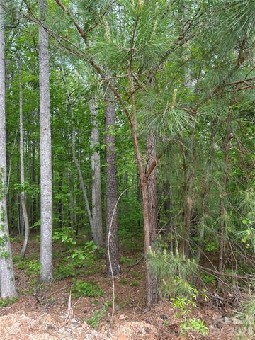 7300 Bay Cove Court, Denver, NC 28037