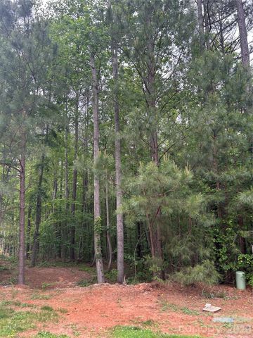 7300 Bay Cove Court, Denver, NC 28037