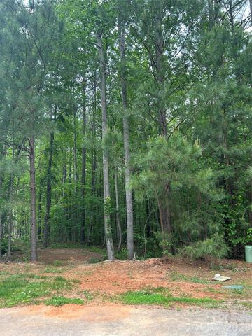 7300 Bay Cove Court, Denver, NC 28037