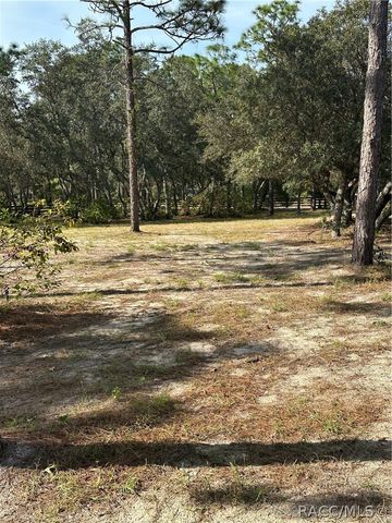 4256 N Amarillo Drive, Beverly Hills, FL 34465