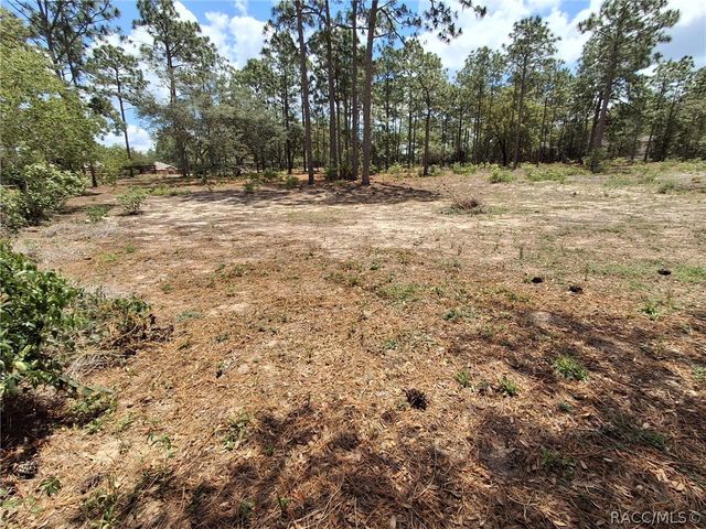 4256 N Amarillo Drive, Beverly Hills, FL 34465