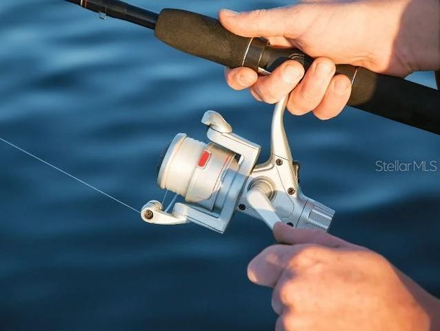 65 BELLS OF IRELAND COURT, Homosassa, FL 34446