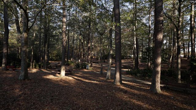 1114 Swindon Avenue, Gilbert, SC 29054
