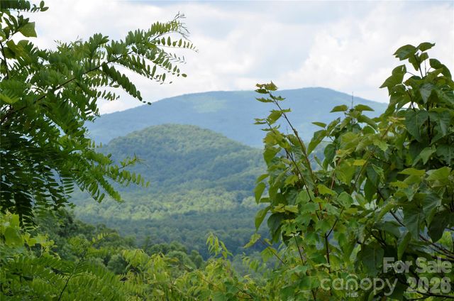50 Gregory Hill Road, Fairview, NC 28730