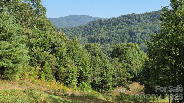 50 Gregory Hill Road, Fairview, NC 28730